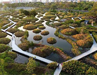 Lumphini Park